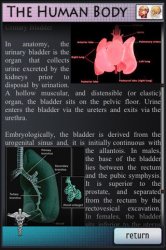 Human Body Anatomy v1.0 .ipa